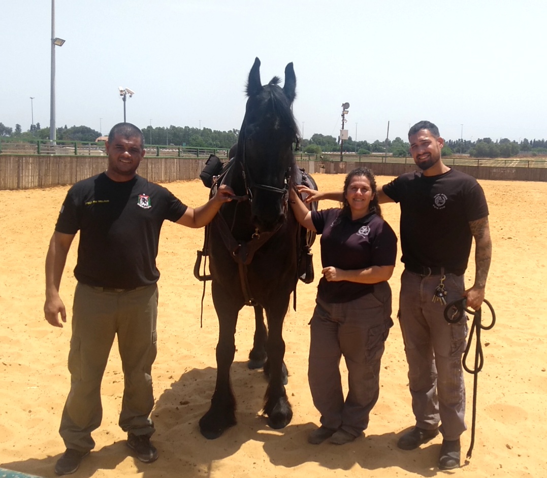 EQUIPAMENTOS PARA CAVALARIA