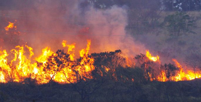 Número de denúncias de queimadas em terrenos aumenta em Avaré