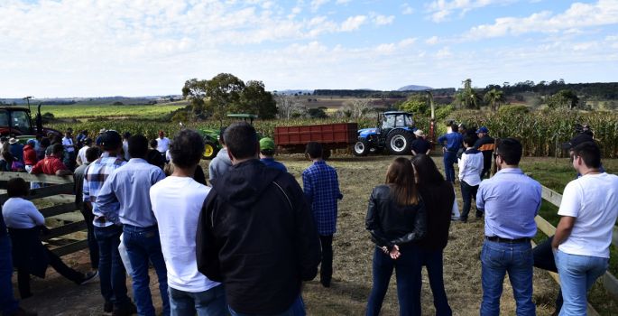 5° Dia de Campo da Cultura do Milho é realizado na Fazenda Eduvale