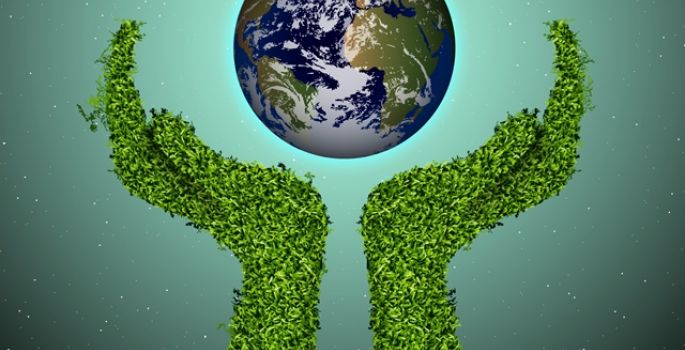 DIA MUNDIAL DO MEIO AMBIENTE, MAS AVARÉ IGNORA A DATA