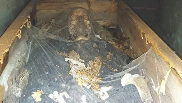 Cemitério de Avaré tem imagens de filme de terror e processo de abandono