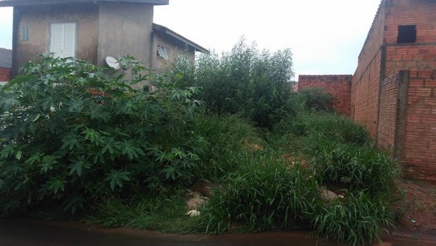 Avaré: Moradora reclama de mato alto e sujeira há mais de 11 meses