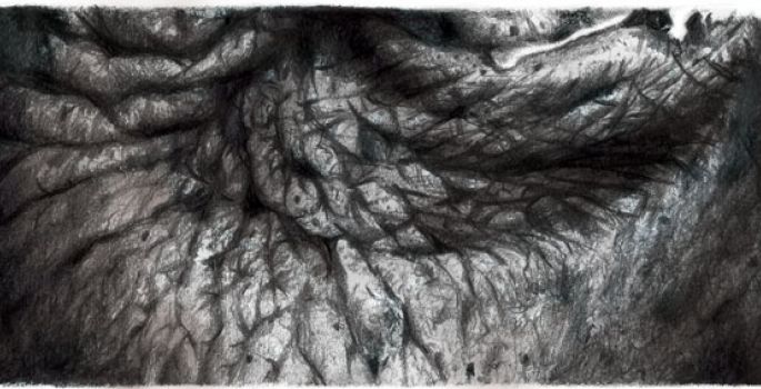 Deixar os pais na casa de repouso é um “direito do cidadão” que quer ser feliz