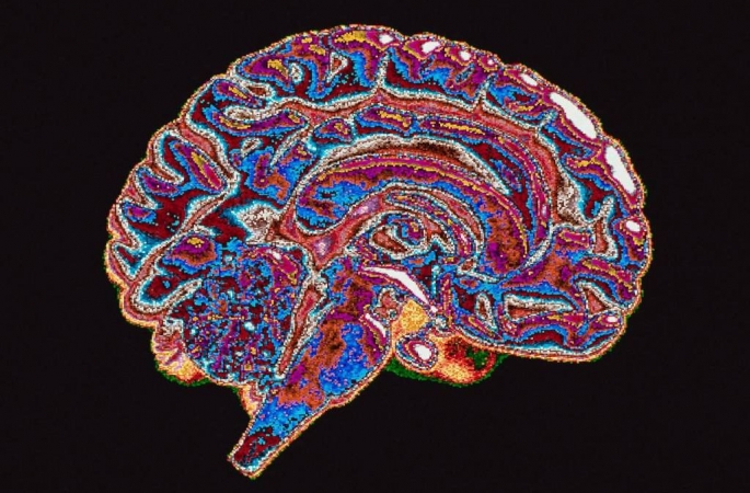 Os seres humanos são corruptos por natureza? O que diz a neurociência