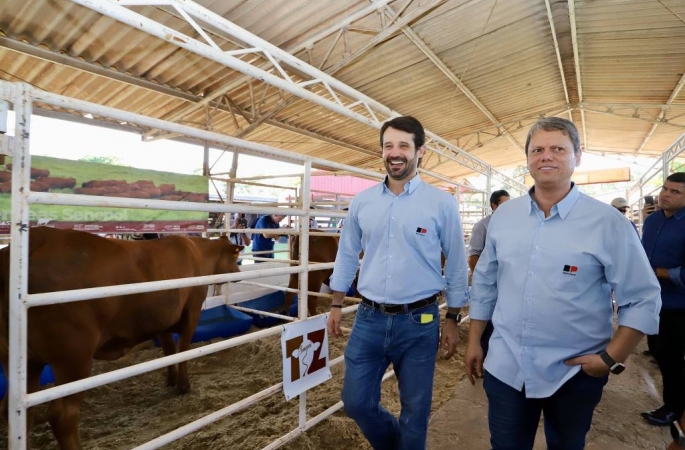 MP-SP move ações sobre desvios na Agricultura e traz relatos de interferência da gestão Tarcísio