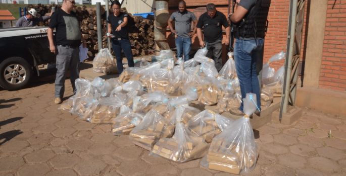 Polícia Civil incinera mais de 1/2 tonelada de maconha