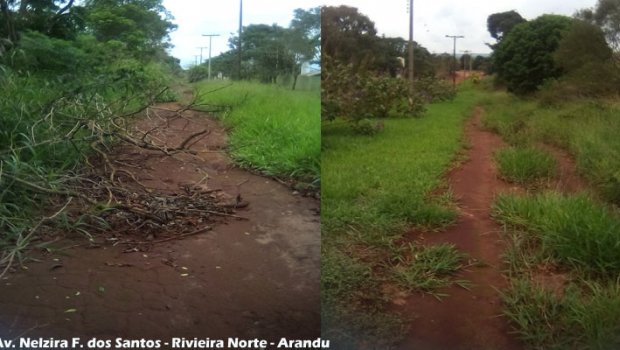   Moradores reclamam da falta manutenção em avenida na zona rural de Arandu
