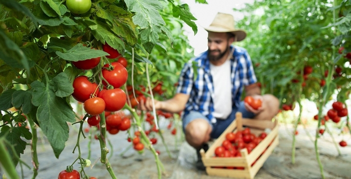 Projeto “Jovem Agricultor do Futuro” está com inscrições abertas