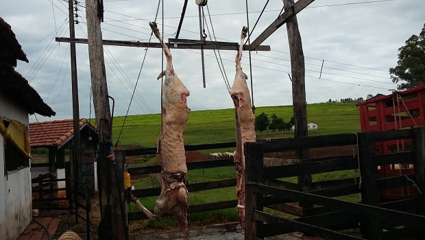 Polícia Civil fecha matadouro clandestino em Taguaí e 2 são presos