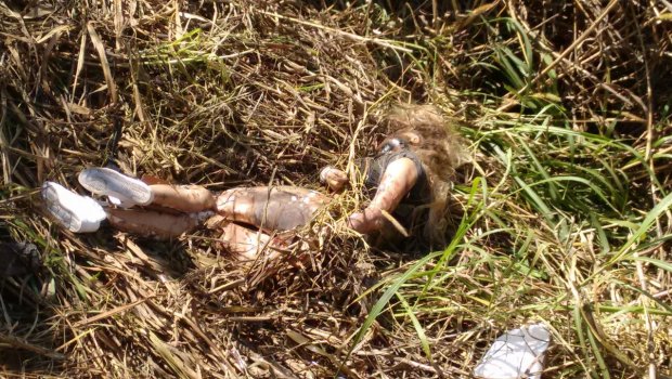 Suspeita é que modelo Aline Furlan morreu em acidente, afirma delegado