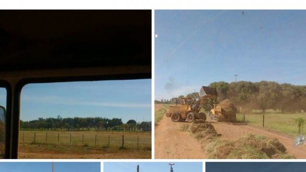 Maquinários e funcionários da limpeza estão sendo utilizados na Emapa