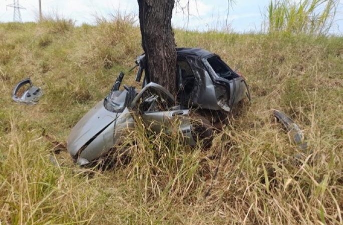 Homem morre após bater carro em árvore em rodovia