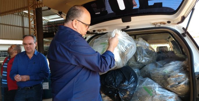 Polícia Civil incinera mais de 100 KG quilos de drogas