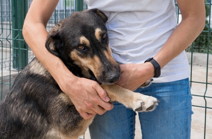 Secretaria prorroga até dia 5 prazo para cadastramento de entidades e voluntários