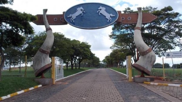 Na sombra da incompetência