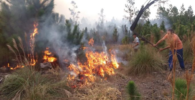Incêndio ambiental atinge assentamento Zumbi dos Palmares em Iaras