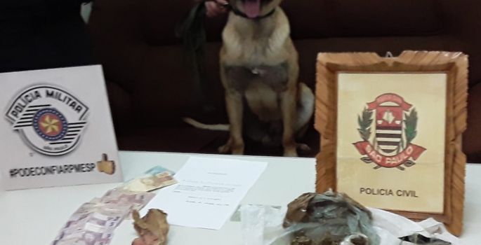 Com ajuda de cão, Polícia encontra droga enterrada e dupla é presa por tráfico