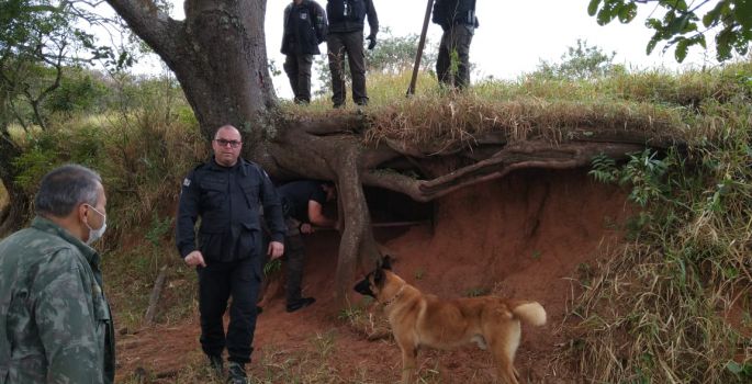Com cães farejadores, PC encontra drogas e prende 4 por tráfico em Avaré