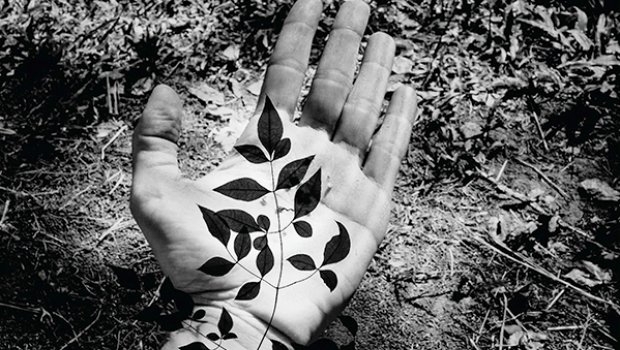 Galeria fotográfica Container virá para Avaré