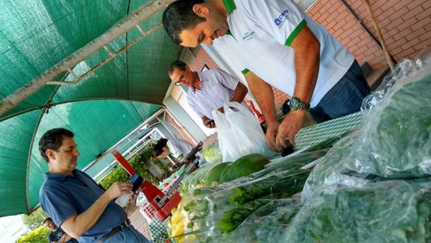 Avaré ganha feira de produtos orgânicos