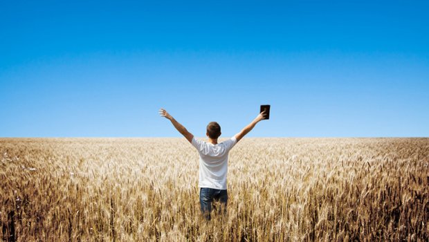 Armadilhas da inteligência e da fé