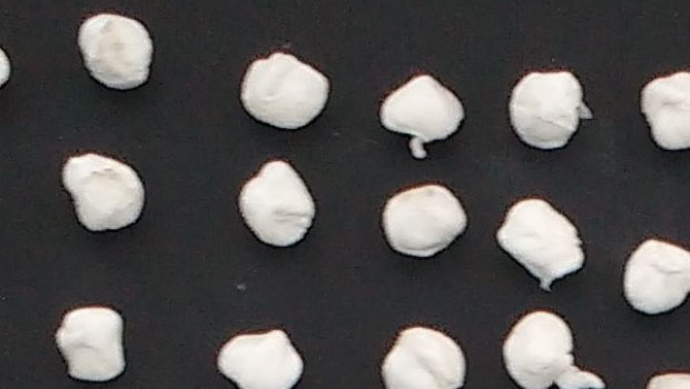 OPERAÇÃO PRENDE TRAFICANTE EM AVARÉ