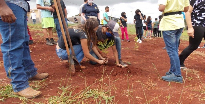 Rotary avança Projeto de plantio de árvores em Arandu