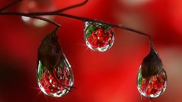 O homem de um pé só ...