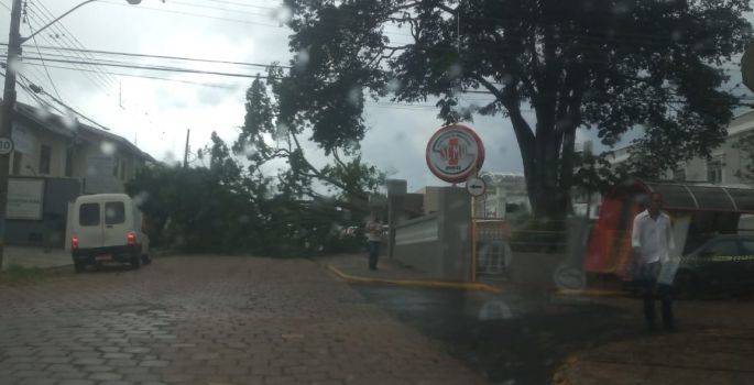Vendaval atinge Avaré e derruba árvores em alguns pontos da cidade