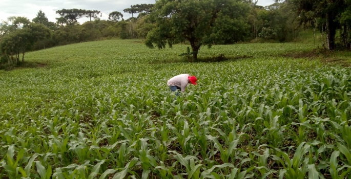 Avaré sedia fórum internacional sobre grãos orgânicos no dia 17