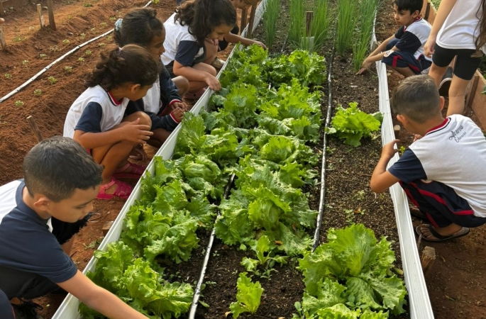 Horta escolar coloca alunos como protagonistas em projeto de educação ambiental