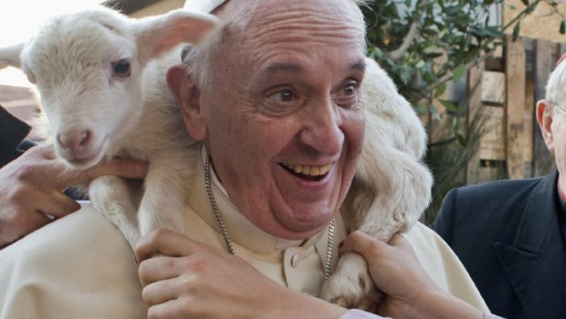 O Evangelho verde de Francisco