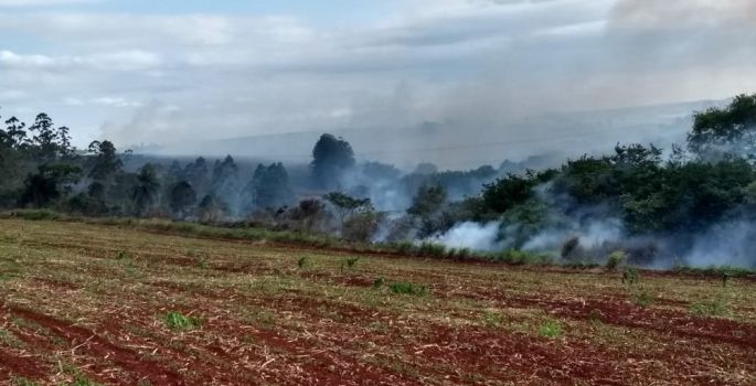 Área de preservação ambiental pega fogo em Cerqueira César