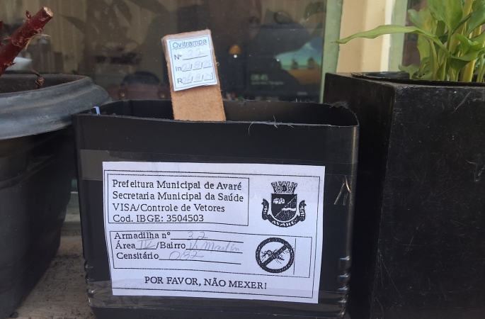 Vigilância Sanitária instala armadilhas para captura de ovos do Aedes aegyptiv