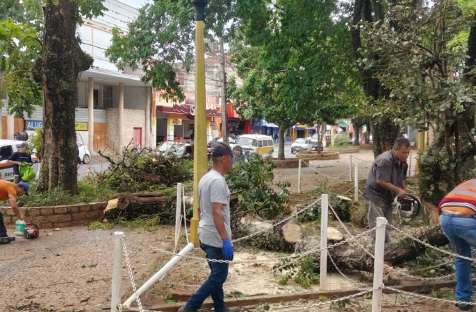 Força-tarefa recupera danos e realiza limpeza em Avaré após temporal