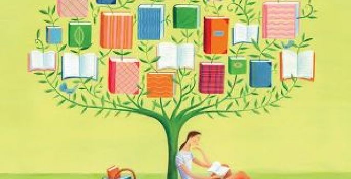 Câmara de Avaré aprova lei de incentivo à leitura