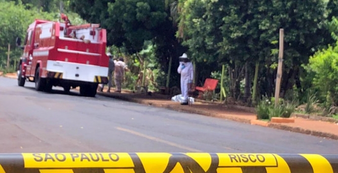 Itatinga: homem morre após ser picado por abelhas na Castelo Branco