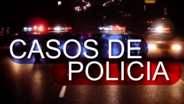  Homens furtam bovino e o deixam agonizando, em Avaré 