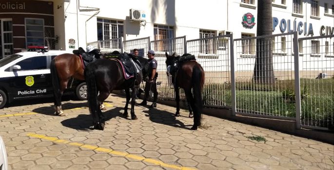 Polícia Montada prende homem por furtar supermercado em Avaré