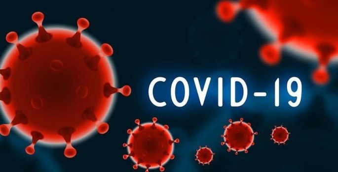 Dados da covid em Avaré ( dia 24)
