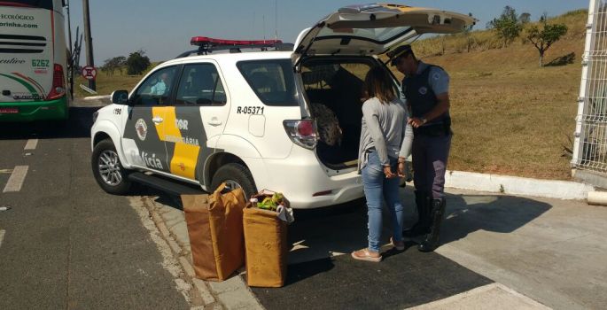 Avaré e Região: TOR prende boliviana com cocaína “pura”