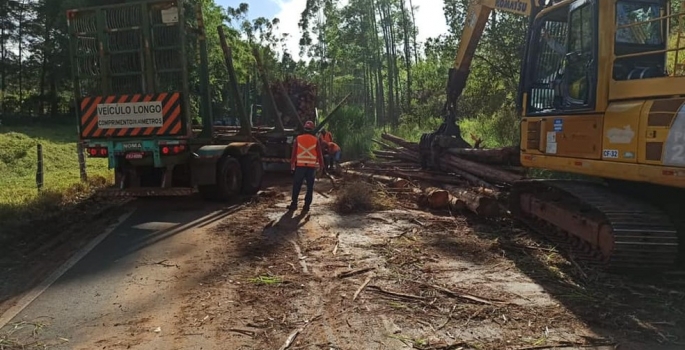 Carreta tomba e derruba toras de madeira em vicinal de Itatinga