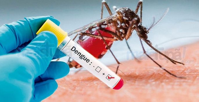 Avaré está na lista de municípios em alerta para surto dengue