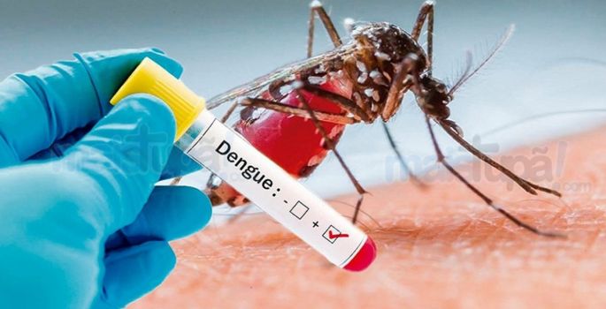 Avaré está na lista de municípios em alerta para surto dengue