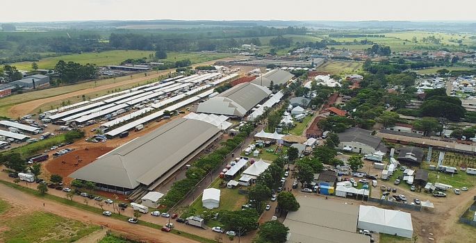 Congresso Brasileiro do Quarto de Milha cresceu 29%, diz ABQM