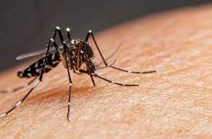 Aumentam casos de dengue em Avaré, secretaria faz recomendações