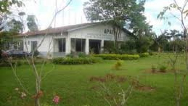 APAE Avaré se prepara para lançar site e campanha visando aumentar sua arrecadação