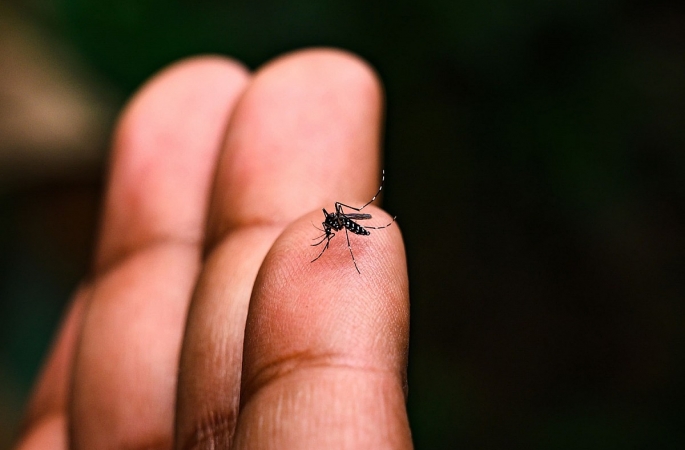 Ambulatório de Dengue registra quase 400 atendimentos em poucos dias de atividade