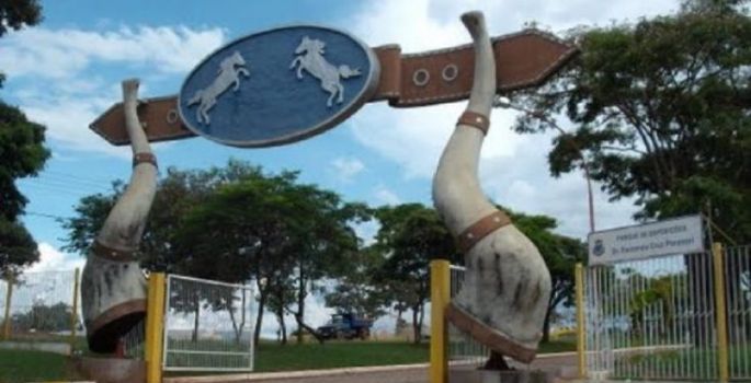 Prefeitura de Avaré poderá gastar até 60 mil reais com ração para bois