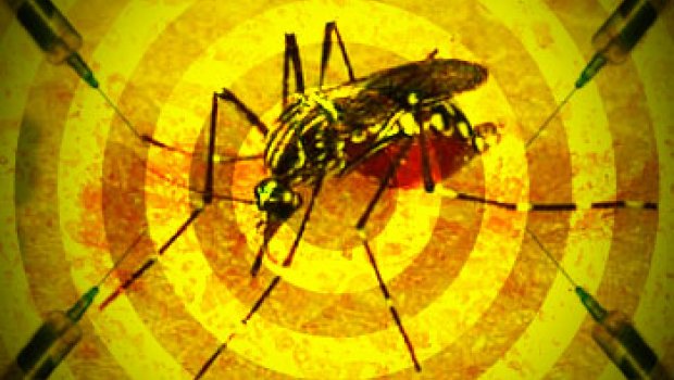 Avaré registra 1 caso de febre amarela